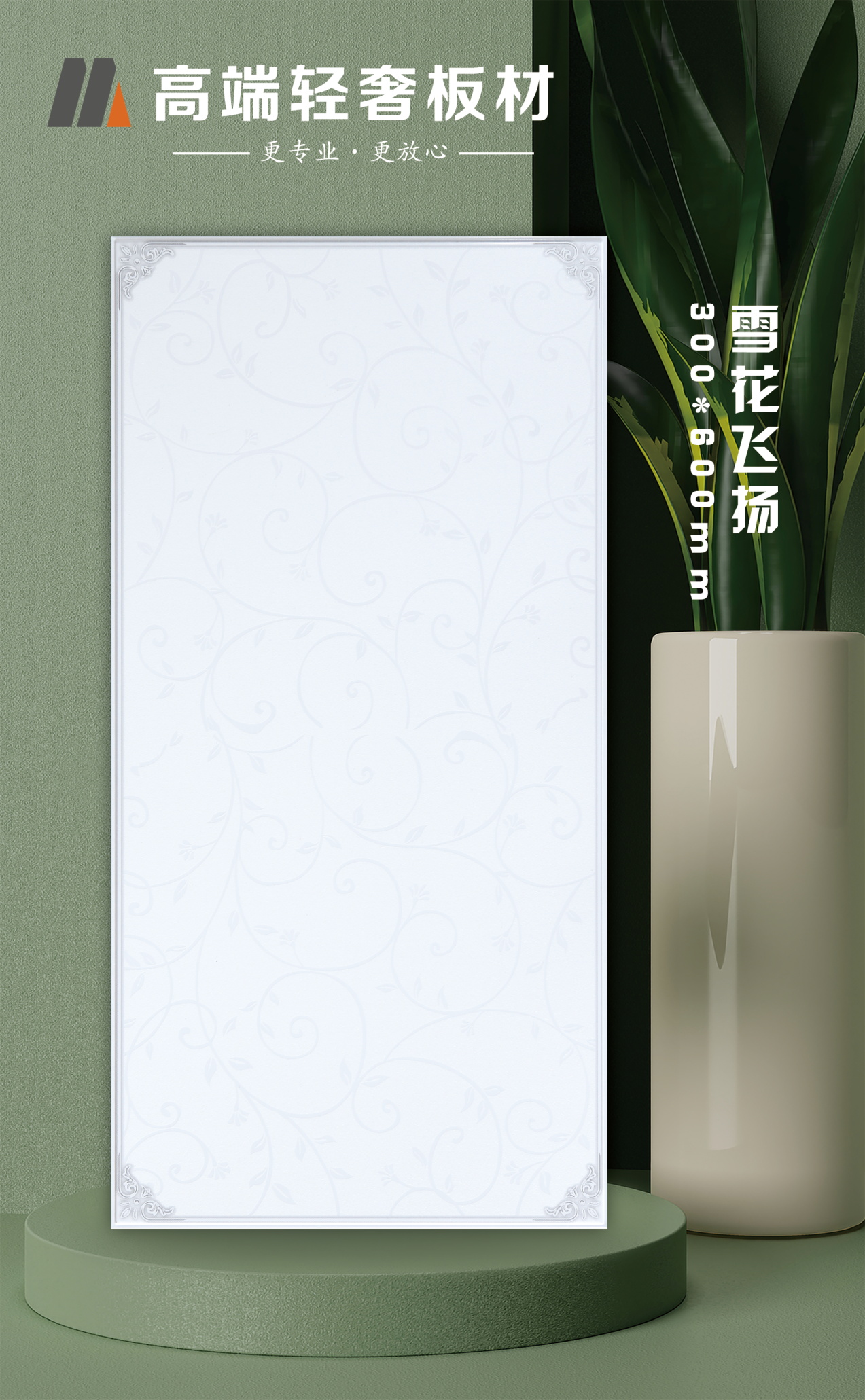 雪花飛揚(yáng).JPG